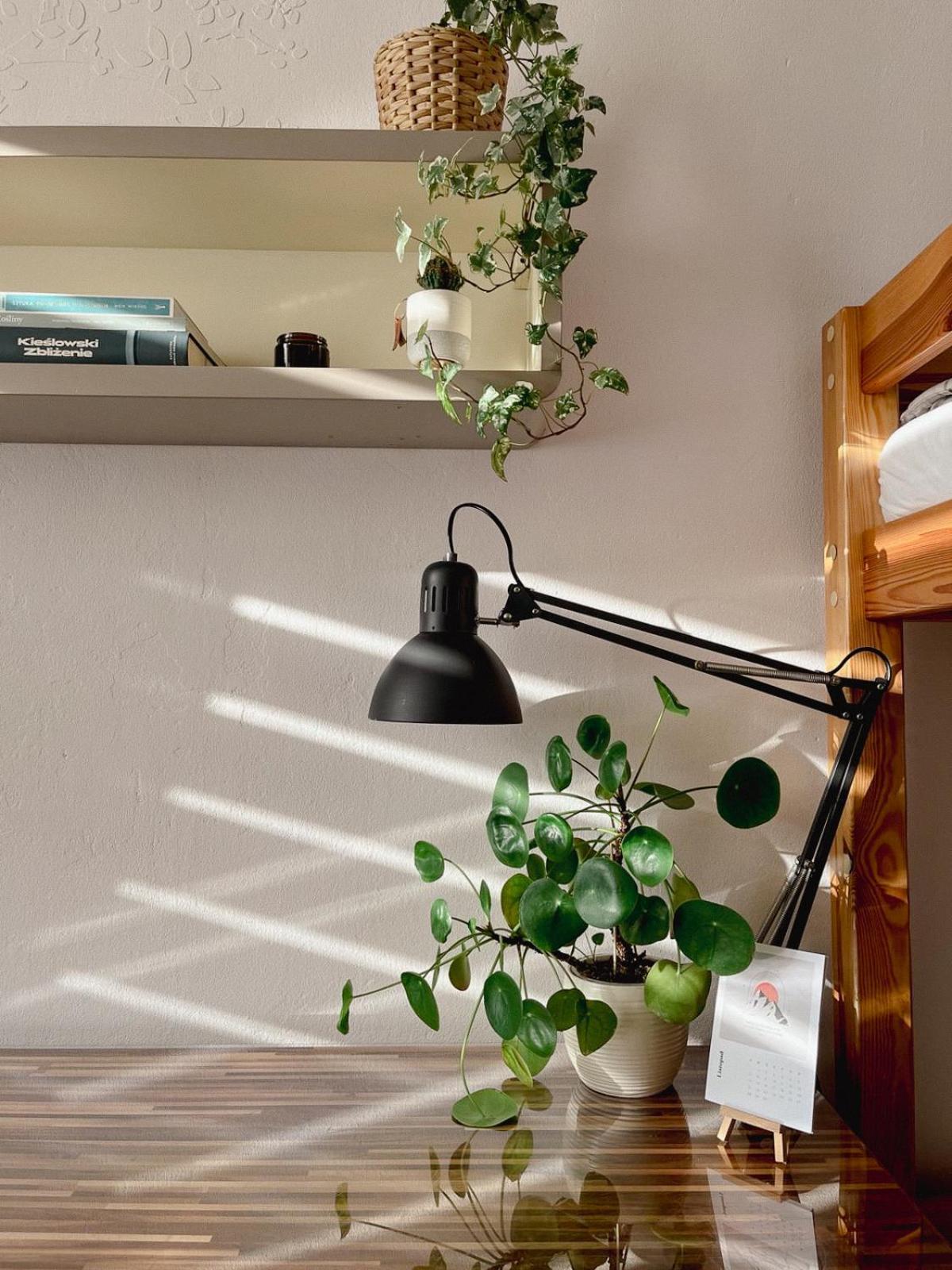Apartment Projekt Pusz